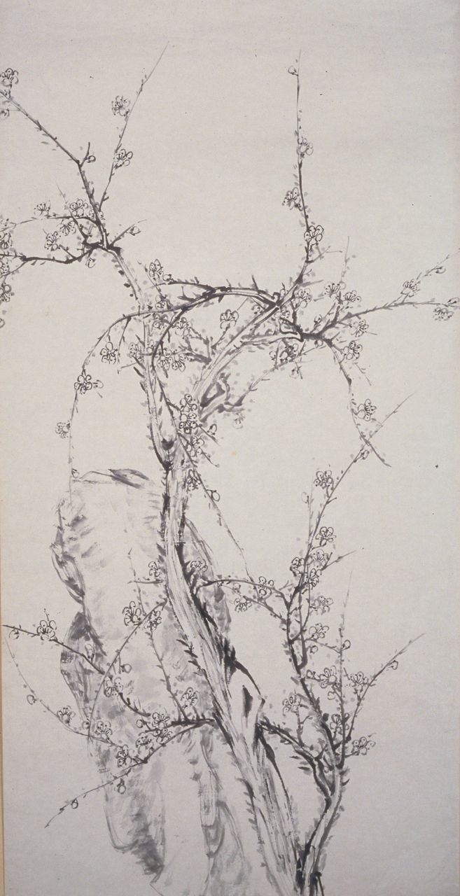 Plum Blossom