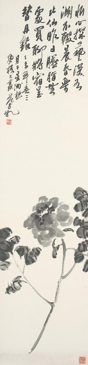 Peony