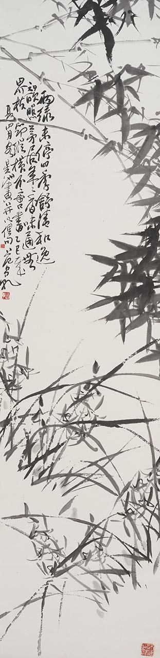 Orchids under Bamboo Shade