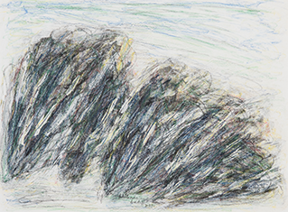 Wetlands (21)