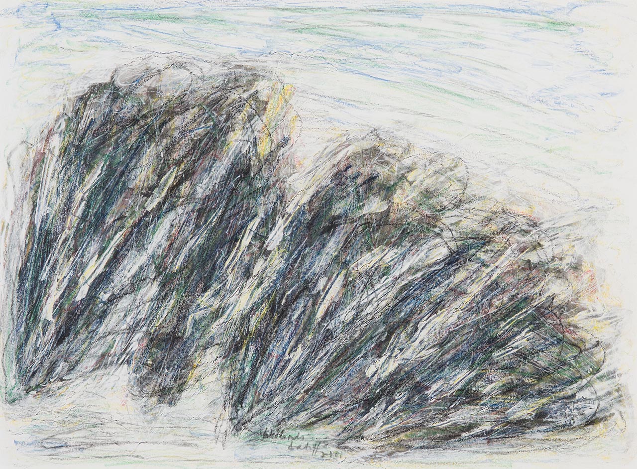 Wetlands (21)