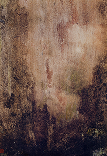 Untitled #2/5