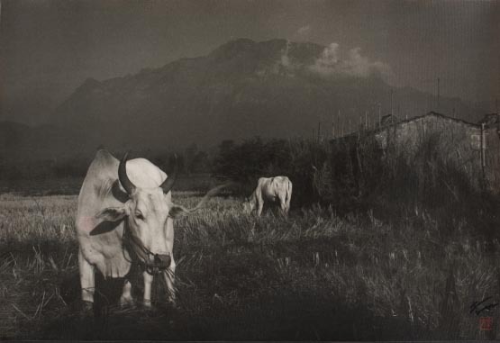 Title Unknown