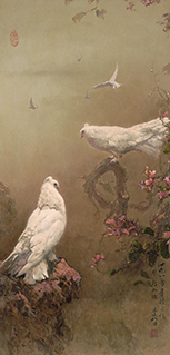 Pigeons