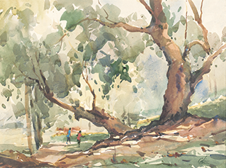 Botanic Gardens