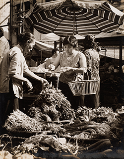 Vegetable seller at the market