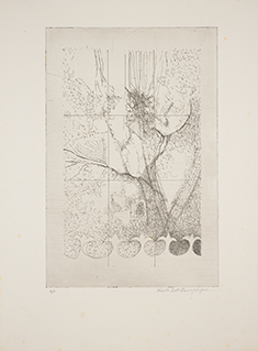 Window I