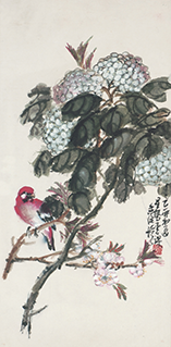 Hydrangea and Red Cardinal