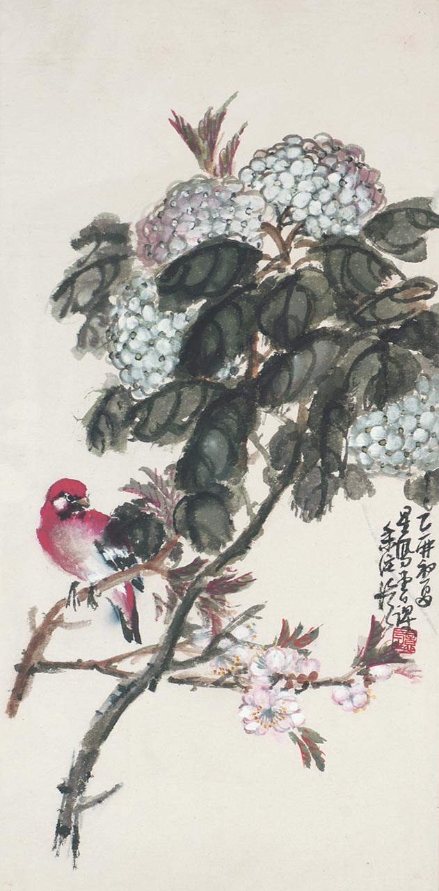 Hydrangea and Red Cardinal