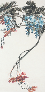 Wisteria and Magpie Robin