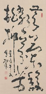 Calligraphy in Wild Cursive Script