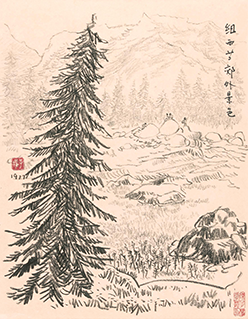 Countryside, New Zealand