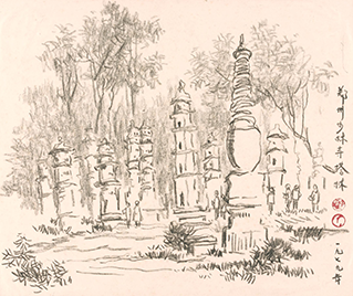 Forest of Stupas, Shaolin Temple In Zhengzhou