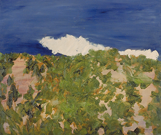 A White Cloud