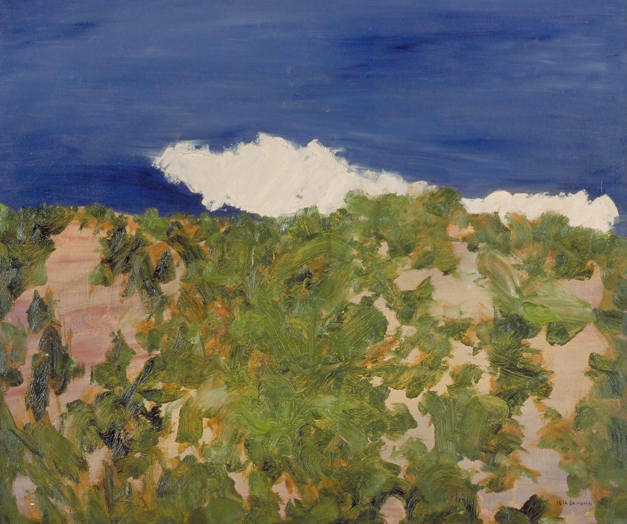 A White Cloud
