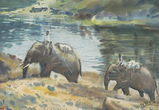 Elephants