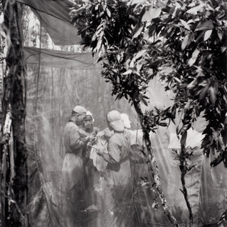Mobile Military Medical Clinic during the Period when the Enemy is Defoliating U Minh Forest