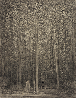 The Holy Monkey Forest at Desa Sangeh, Bali