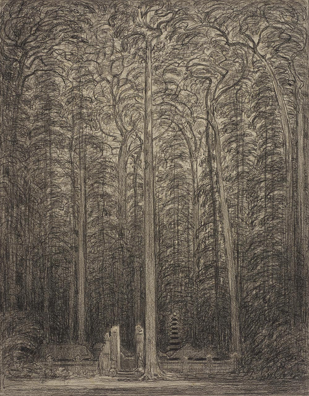 The Holy Monkey Forest at Desa Sangeh, Bali