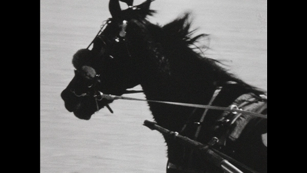 Pacer