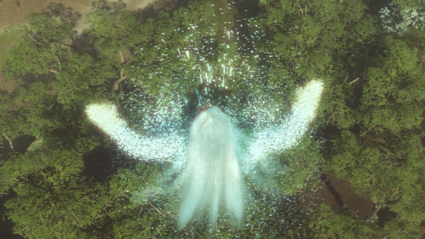 alt Image