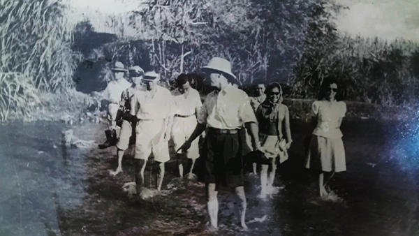 alt Image