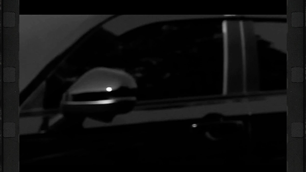 alt Image