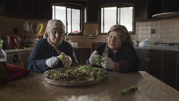Foragers