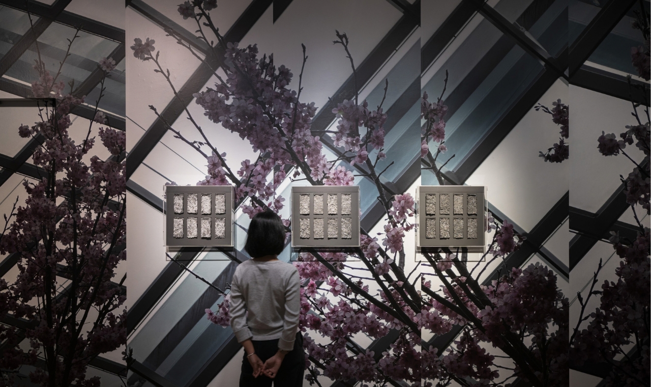 Installation view of "Powdered iPhone" by Josh Kline