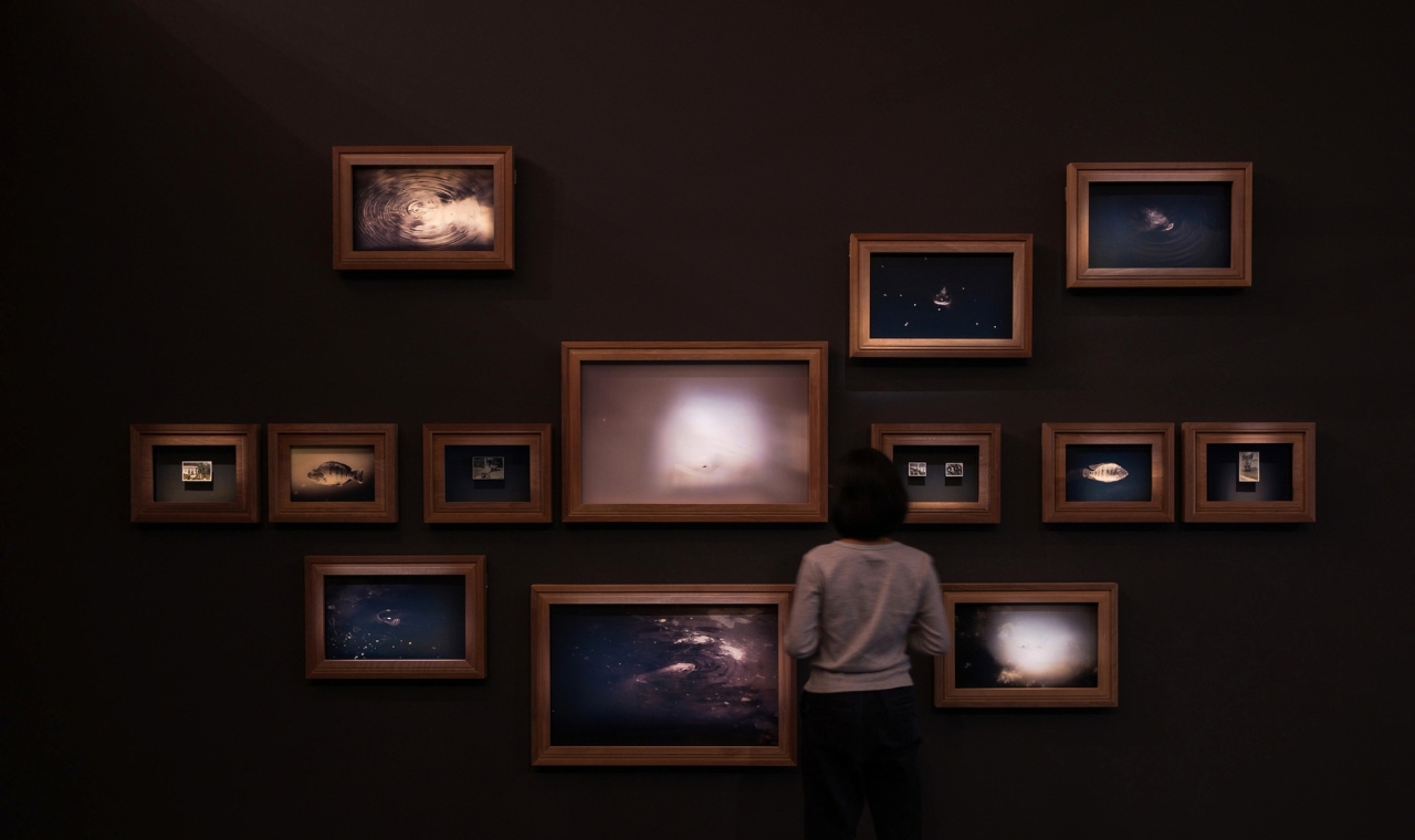 Installation view of "The Fish Does Not Know the War is Over" by Robert Zhao Renhui