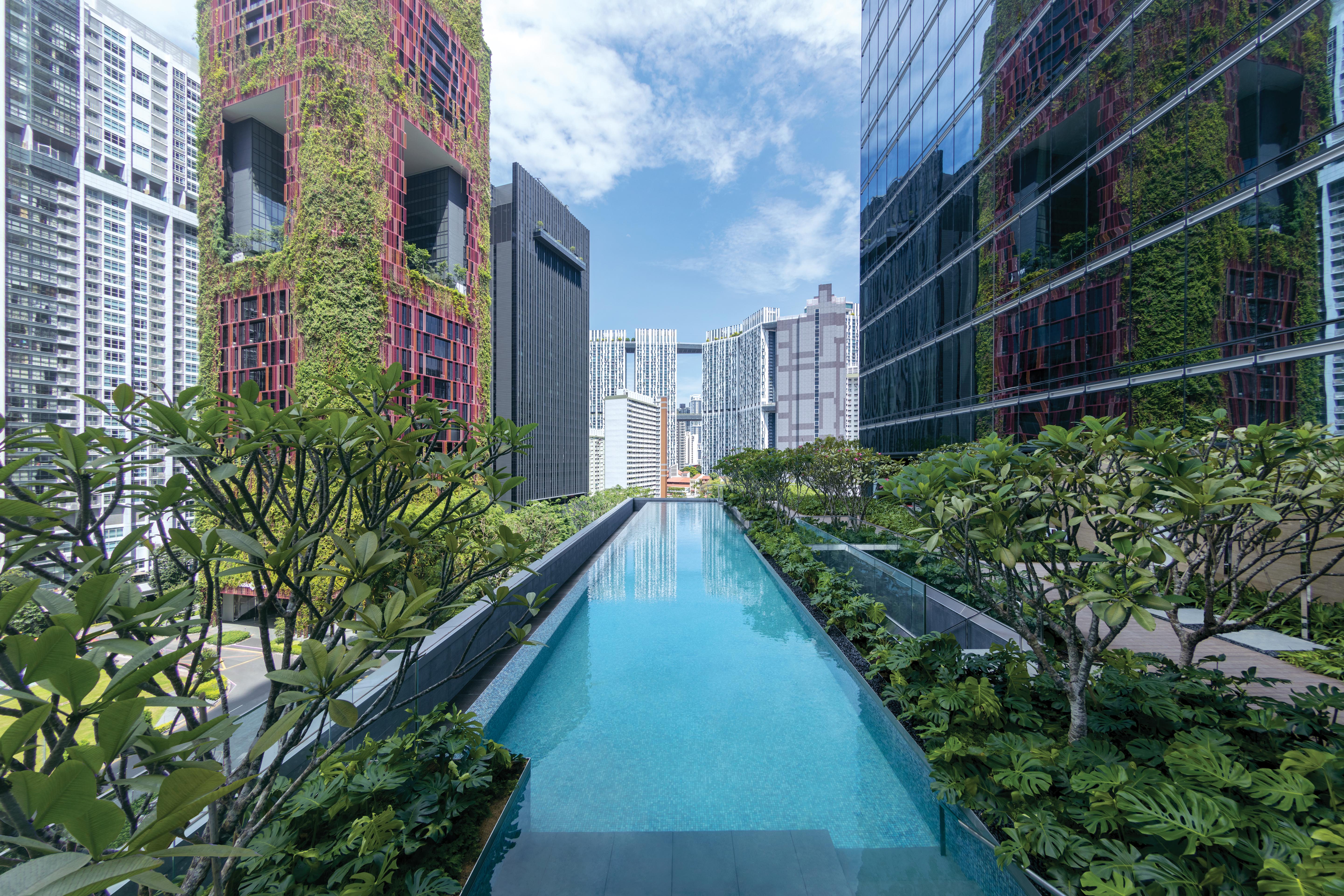 Staycation at Sofitel Singapore City Centre