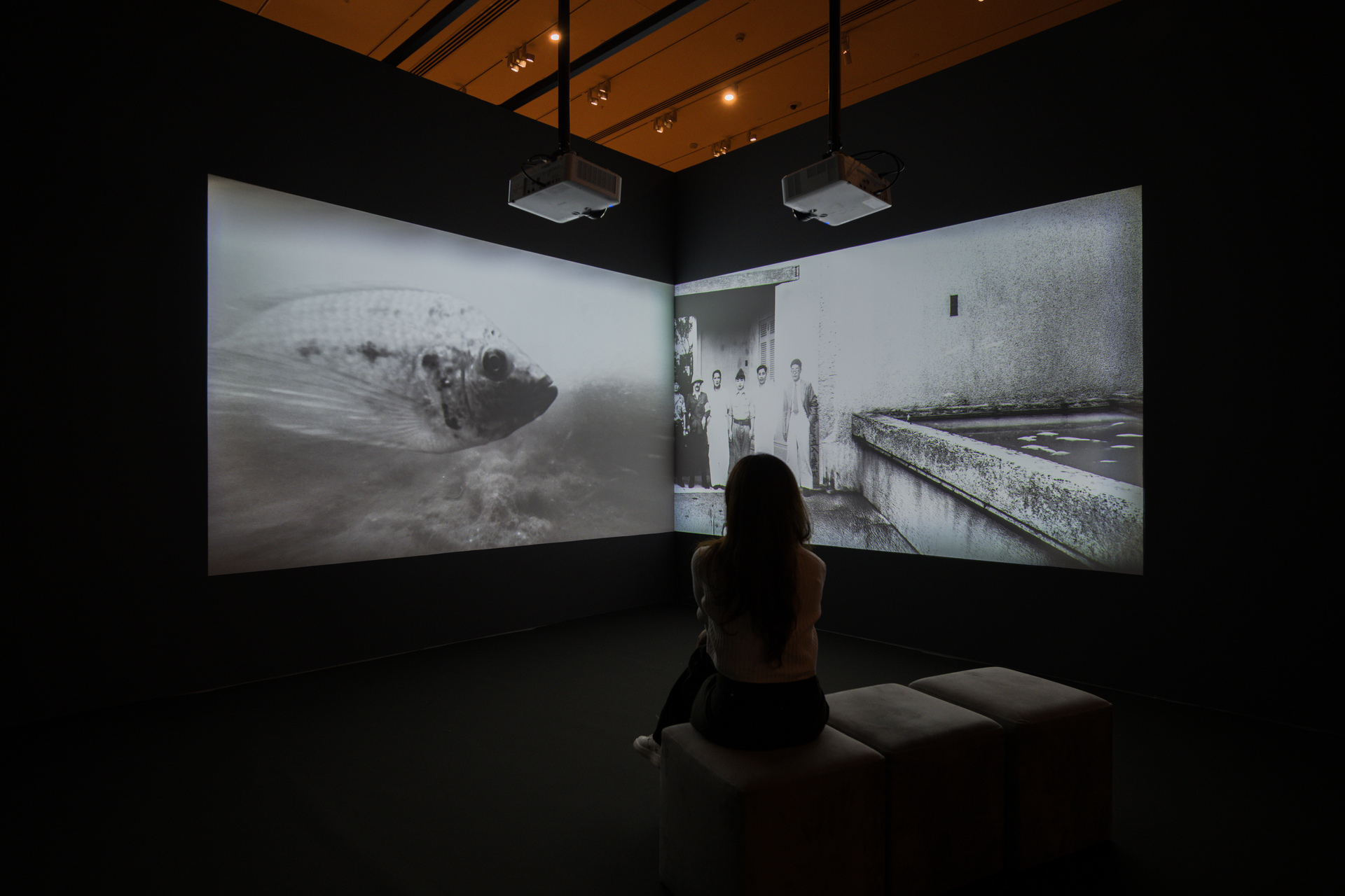 National Gallery Singapore presents the exhibition, Art Remembers.