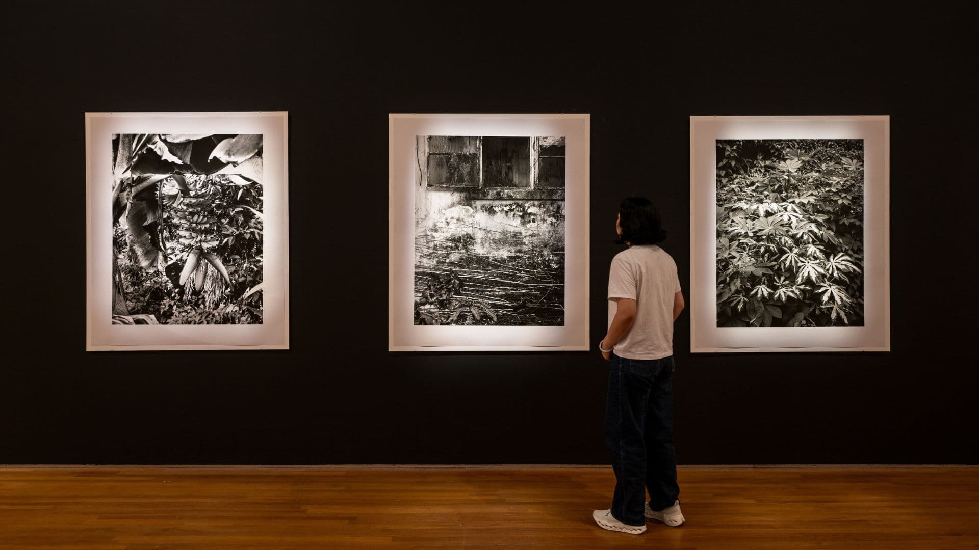 Three vertical artworks depicting different photographed scenes, with a visitor standing before them and admiring the works. 