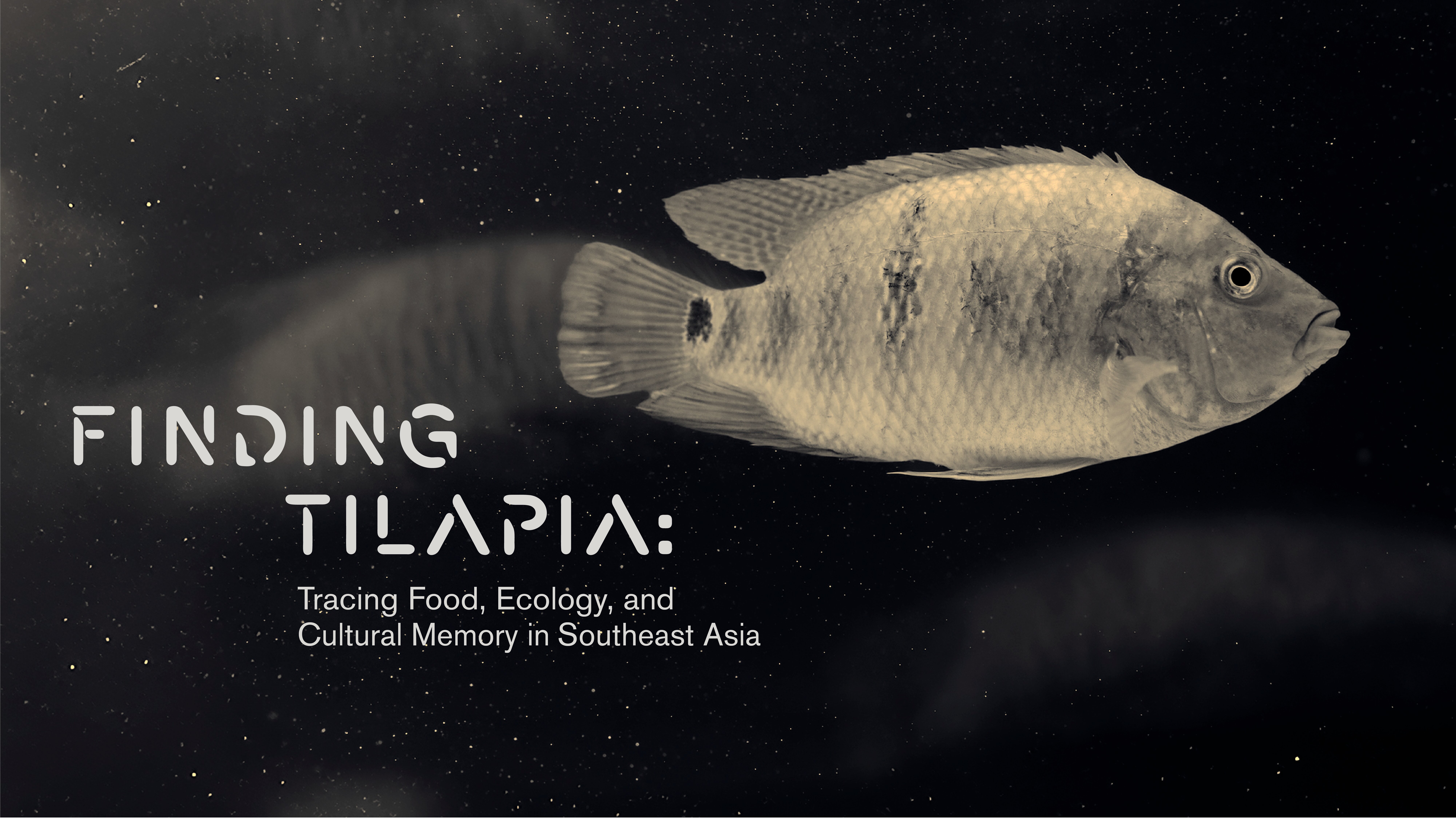 Poster promoting a panel talk on Finding Tilapia: Tracing Food, Ecology, and Cultural Memory in Southeast Asia.