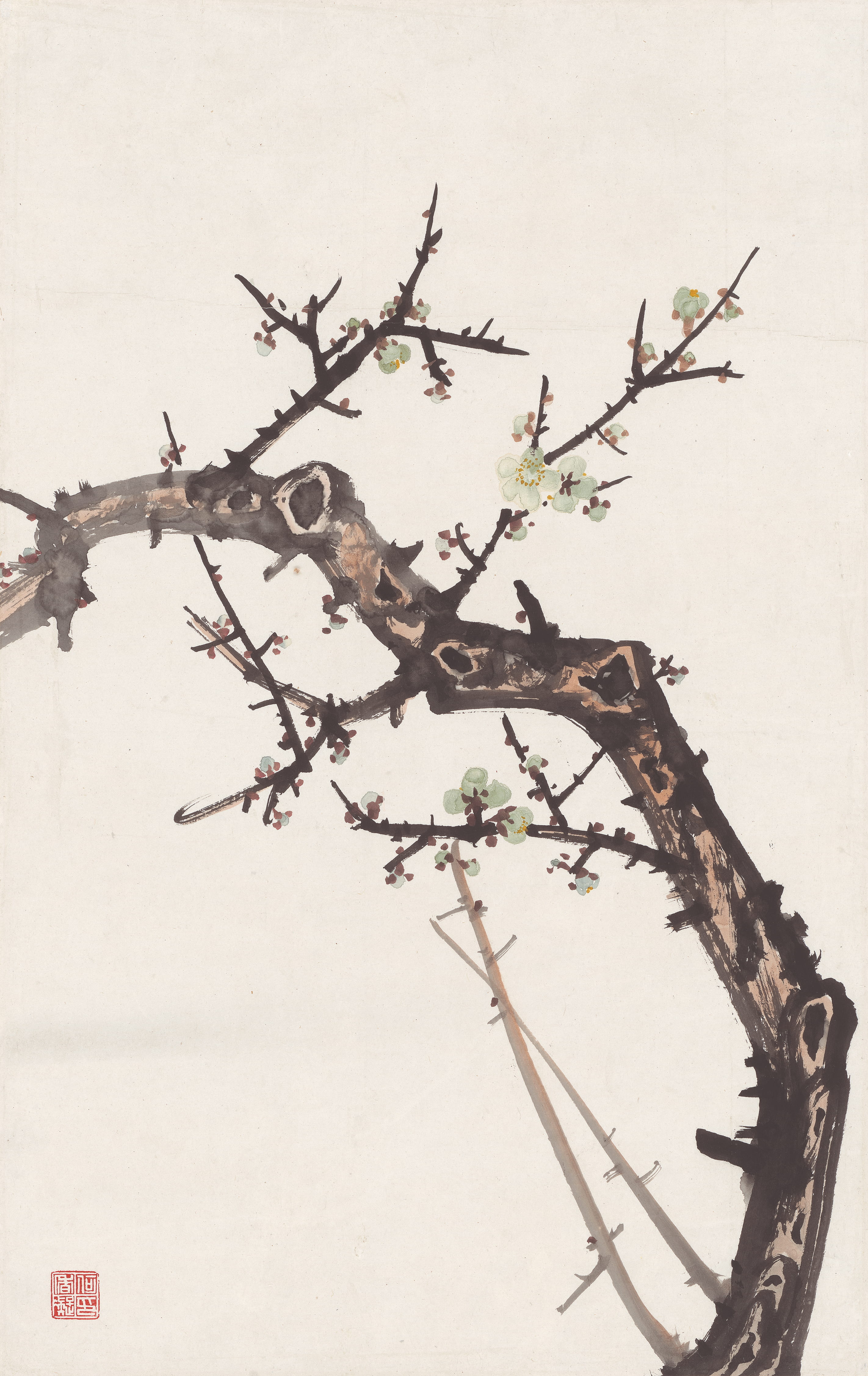 Green Plum Blossoms