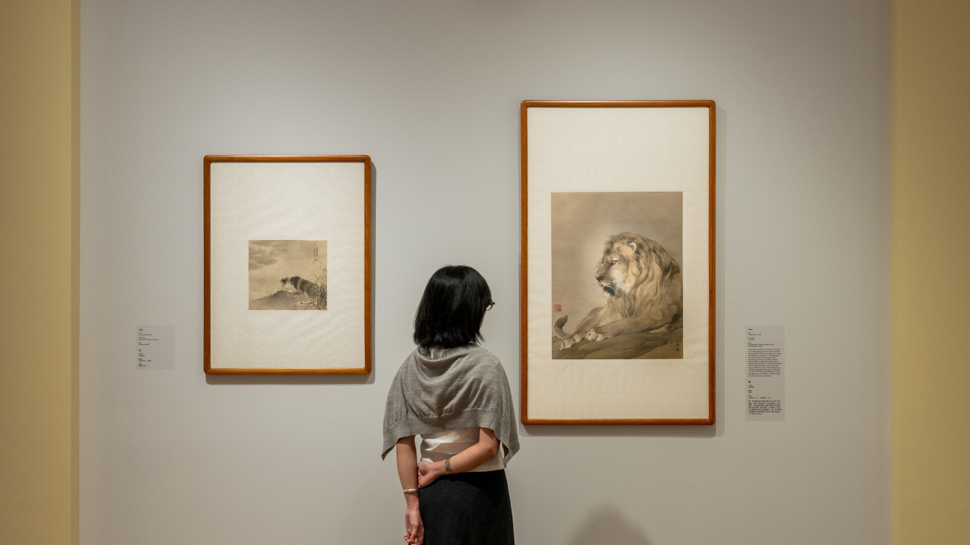 Visitor standing in an art gallery admiring ink artwork of a Lion. 