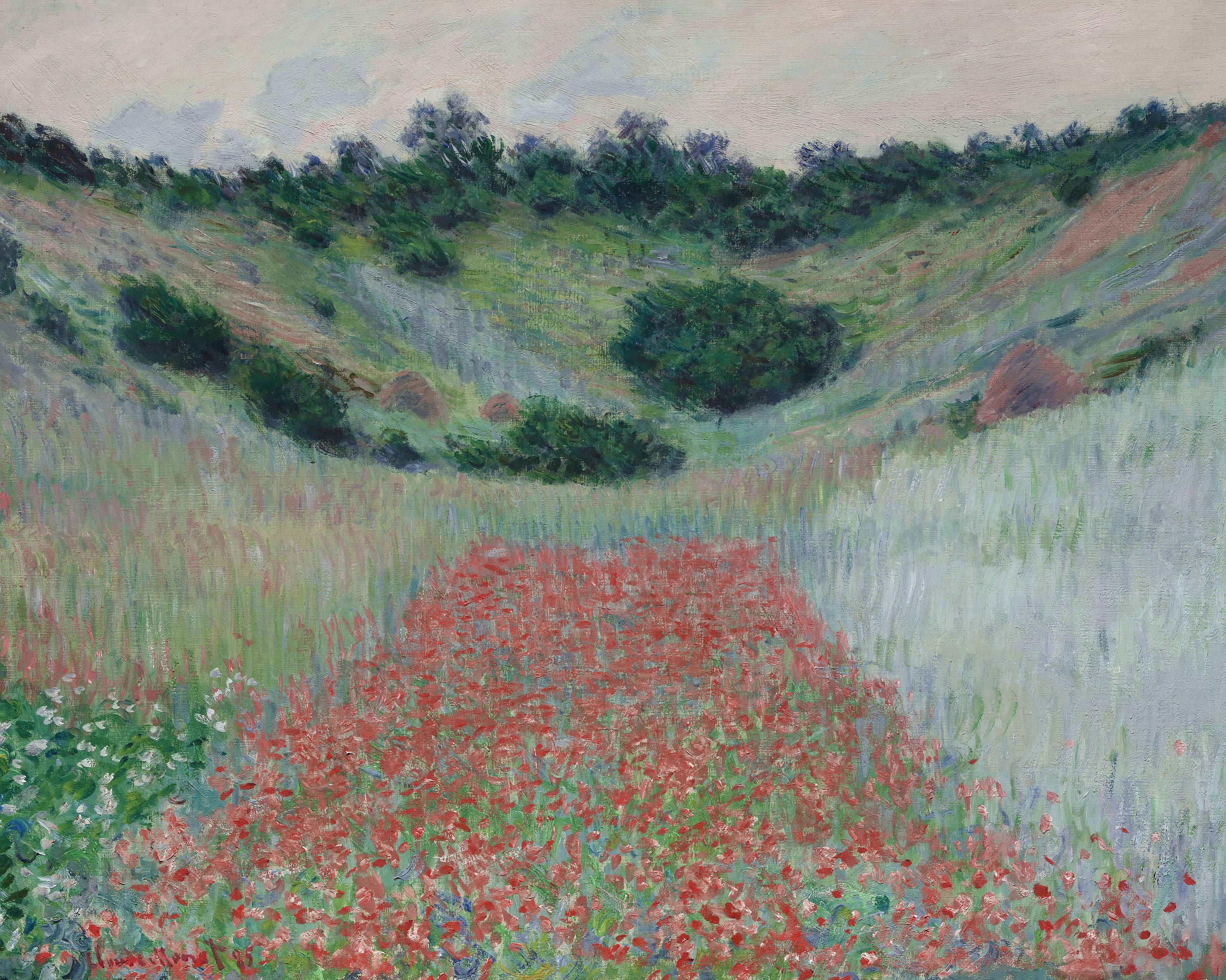Poppy Field in a Hollow near Giverny